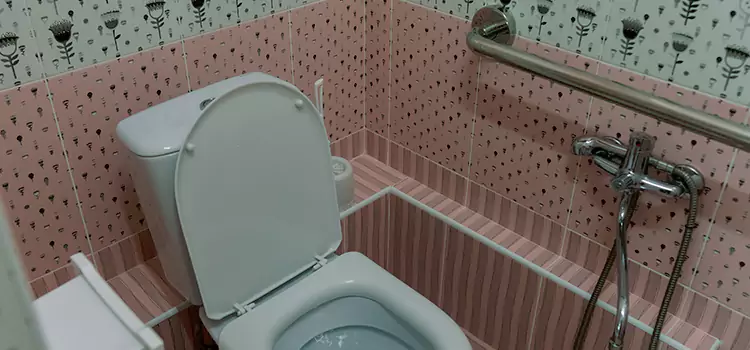 Meeting Diverse Needs With Accessible Restroom Solutions in Saint-Raymond, QC