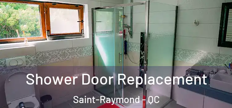Shower Door Replacement Saint-Raymond - QC